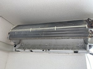 IMG_9335 IMG_93352