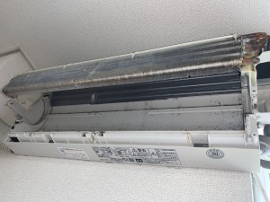 IMG_9336 IMG_93361