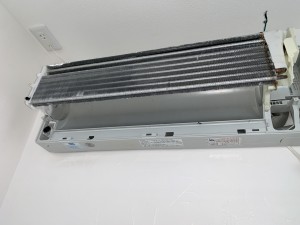 IMG_9405 IMG_94051