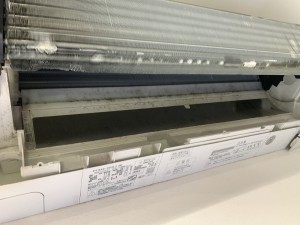 IMG_9464 IMG_94641